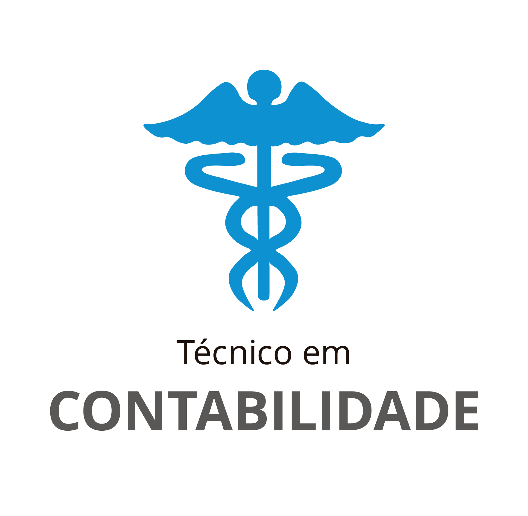 Técnico em Contabilidade